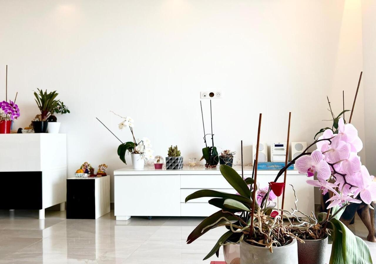 L'Appaloosa De Mer-Pool Tennis Parking-Sea View - -Capitalchic Services Cagnes Sur Me 外观 照片